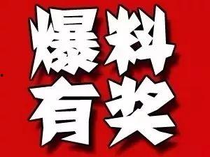 中牟网最新爆料,最新事件详情大揭秘